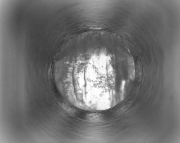 X0000068890511200606021923