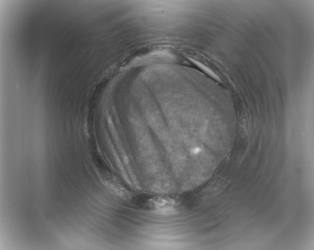 X0000068890512200606021923