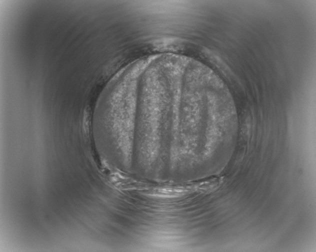 X0000068890513200606021923