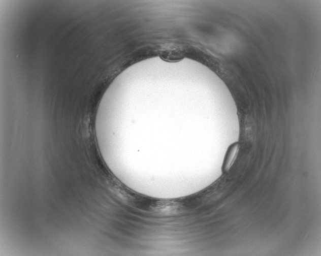 X0000068890514200606021923