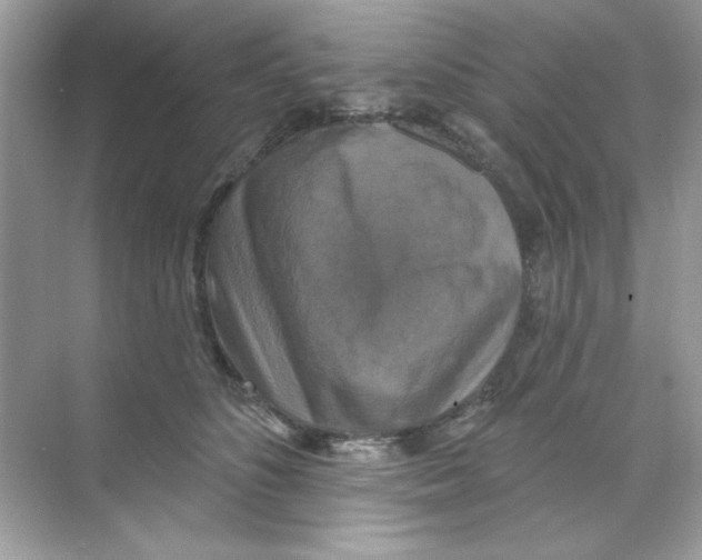 X0000068890516200606021923