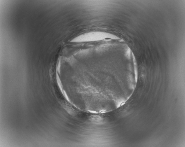 X0000068890519200606021923