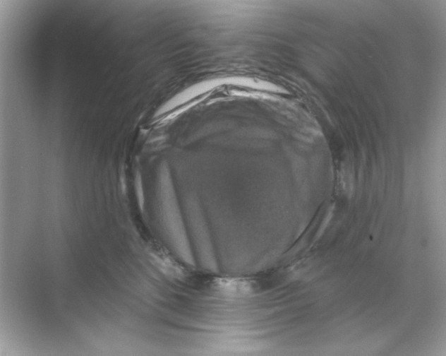 X0000068890520200606021923