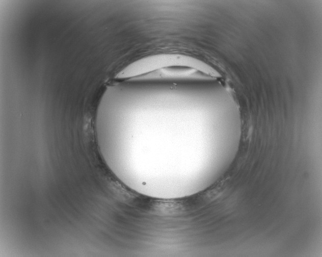 X0000068890521200606021923