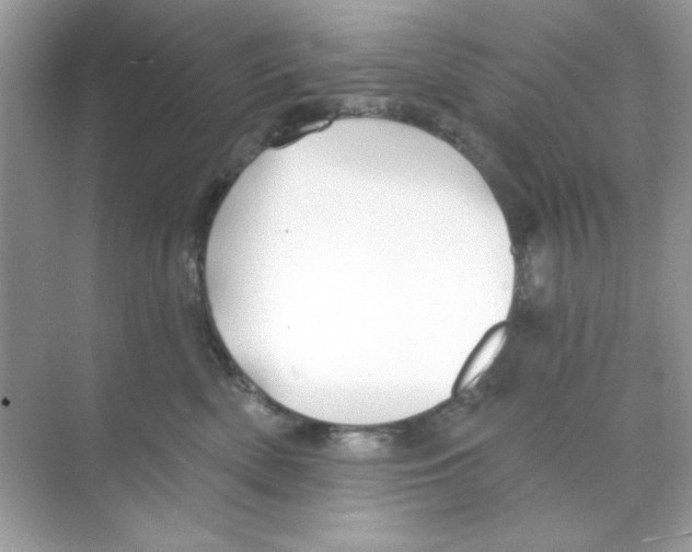 X0000068890522200606021923