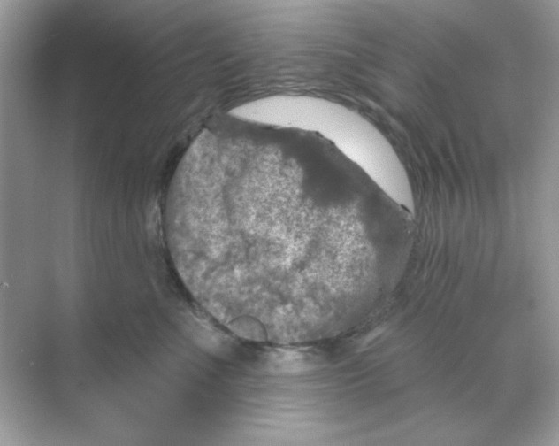 X0000068890523200606021923