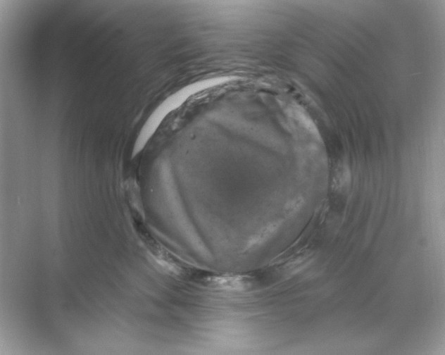 X0000068890524200606021923