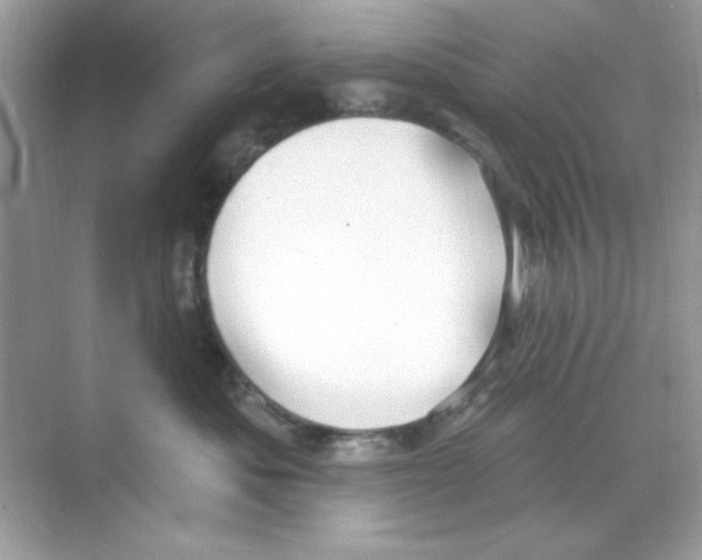 X0000068890525200606021922