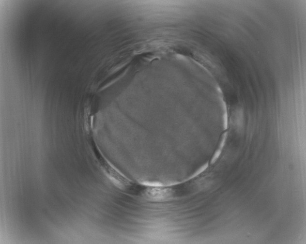 X0000068890526200606021922