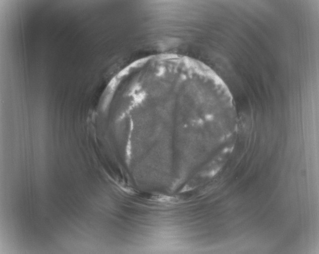 X0000068890527200606021922