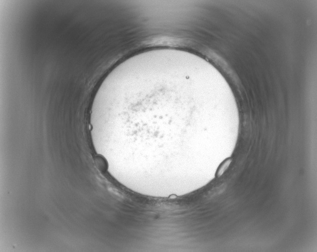 X0000068890529200606021922