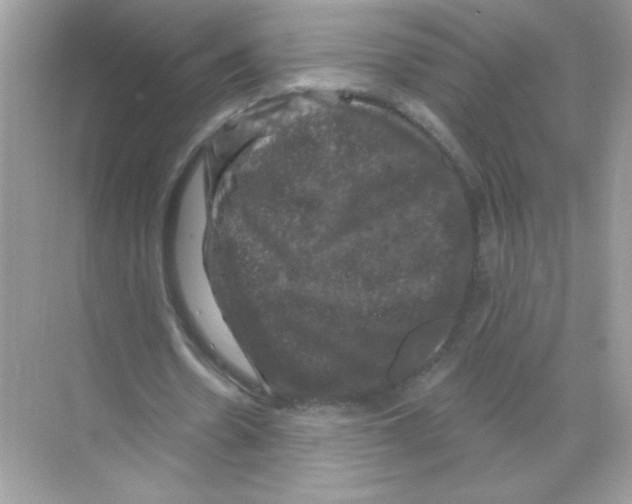 X0000068890530200606021922