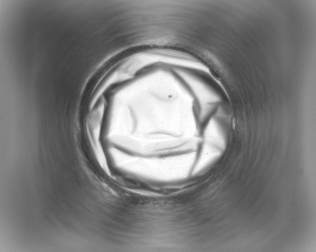 X0000068890532200606021922