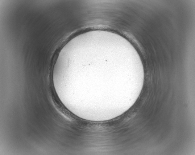 X0000068890533200606021922