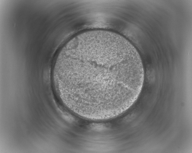 X0000068890534200606021922