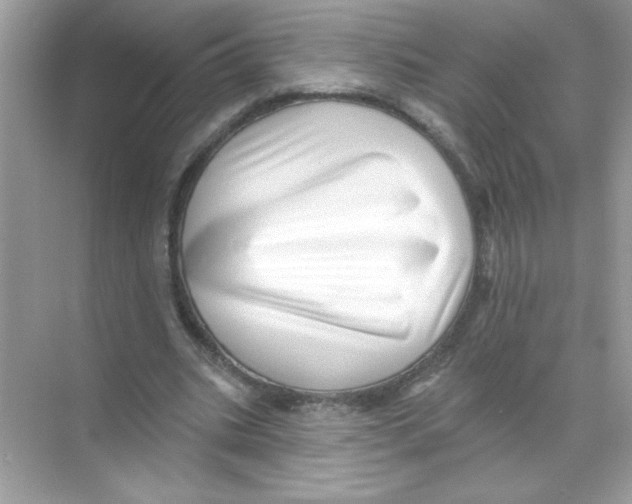 X0000068890535200606021922