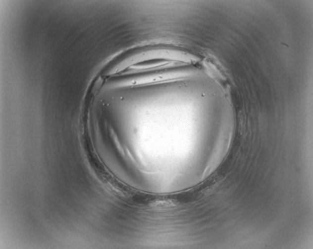 X0000068890536200606021922