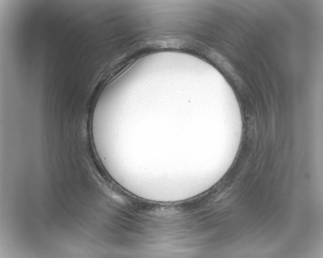 X0000068890537200606021922