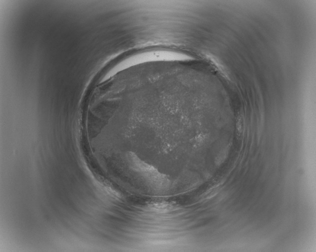 X0000068890540200606021922