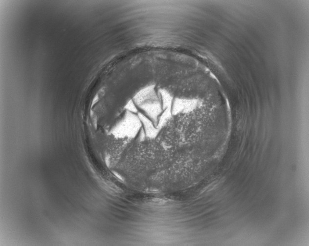 X0000068890542200606021922