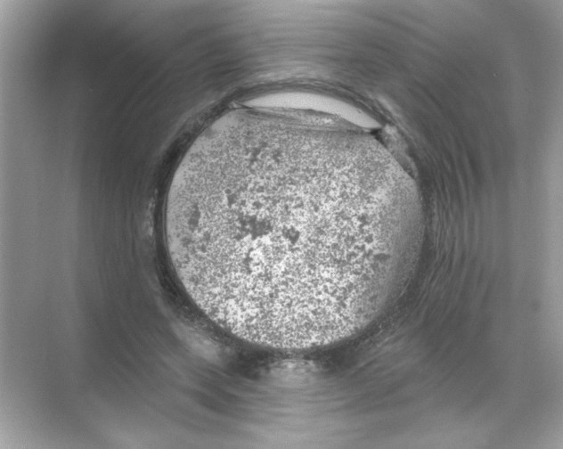 X0000068890543200606021922