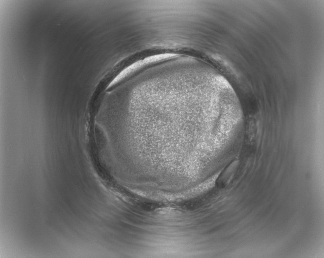 X0000068890544200606021922