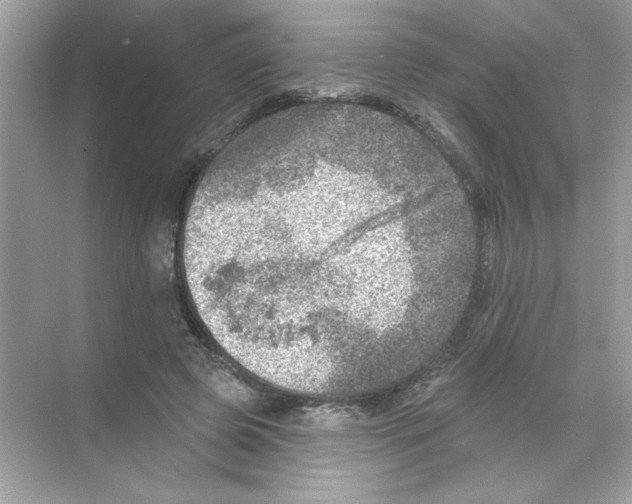 X0000068890545200606021922