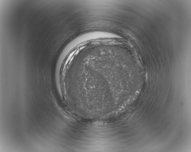 X0000068890546200606021922