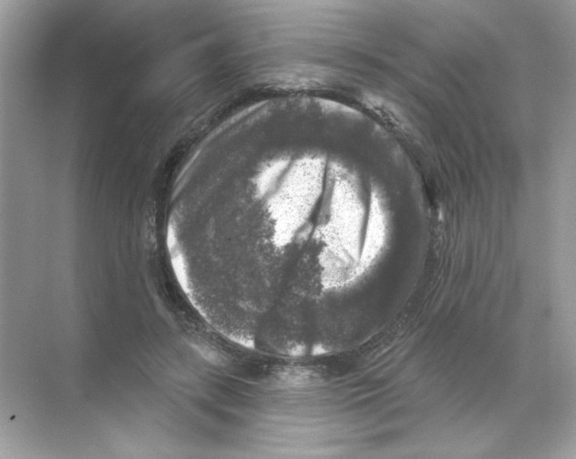 X0000068890547200606021922