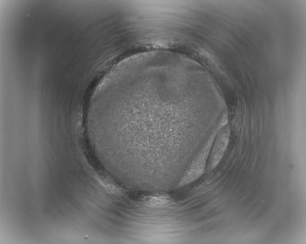 X0000068890548200606021922