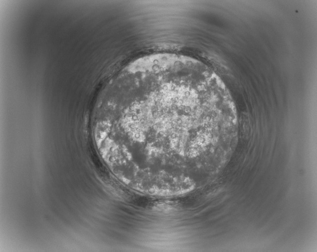 X0000068890550200606021922