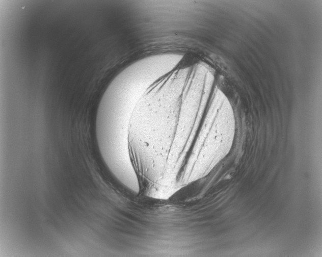 X0000068890551200606021922