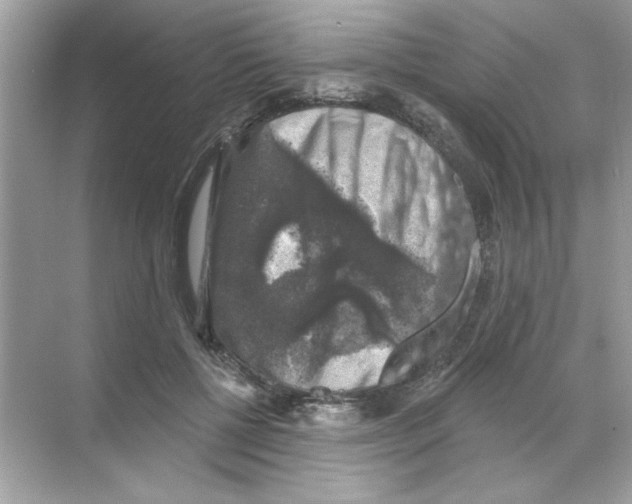 X0000068890552200606021922