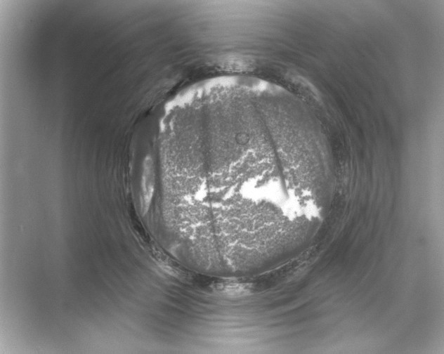 X0000068890553200606021922