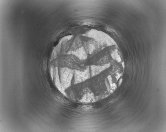 X0000068890554200606021922