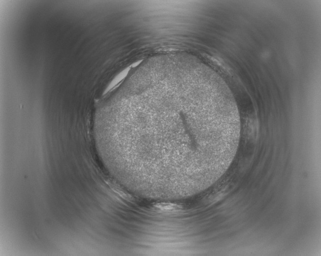 X0000068890557200606021922