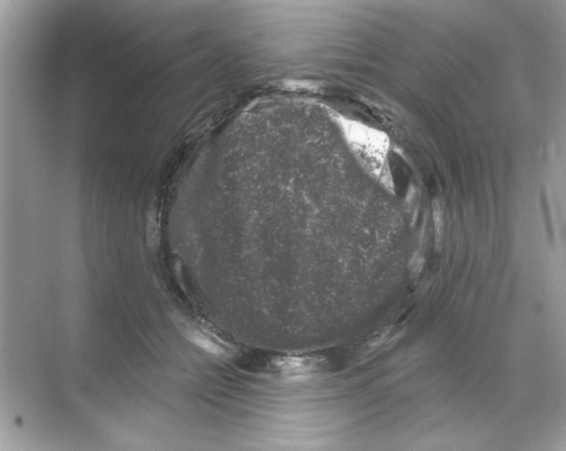 X0000068890558200606021922