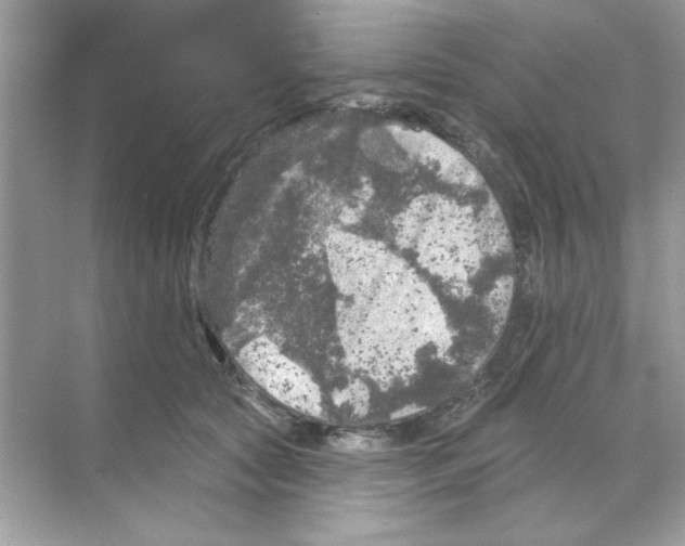 X0000068890561200606021922