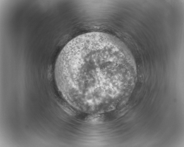 X0000068890563200606021922