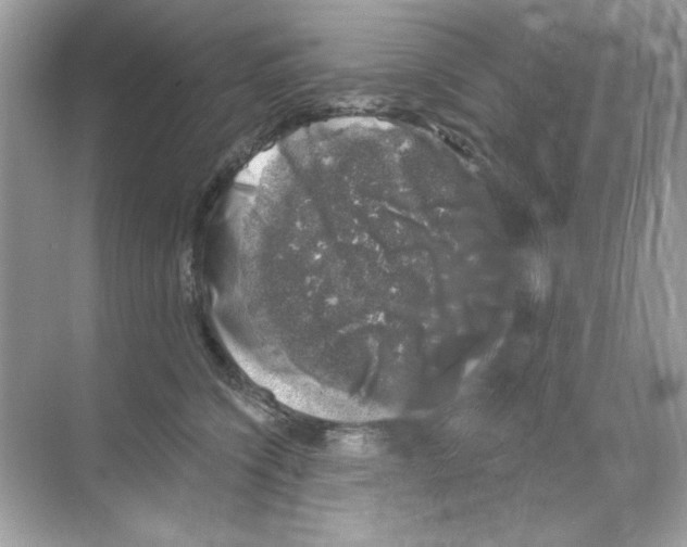 X0000068890564200606021922