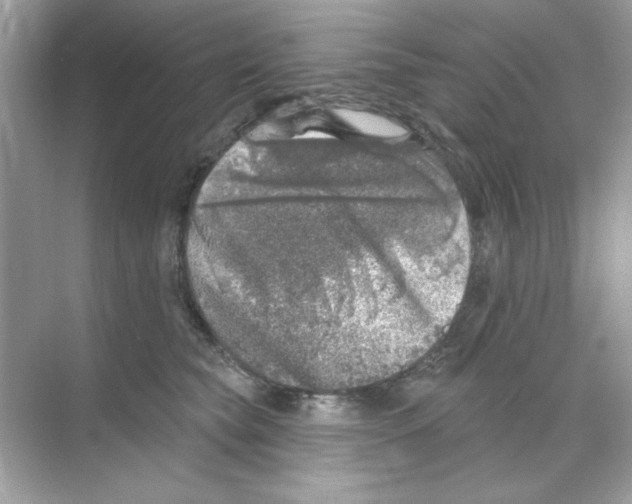 X0000068890565200606021922