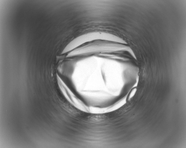 X0000068890567200606021922