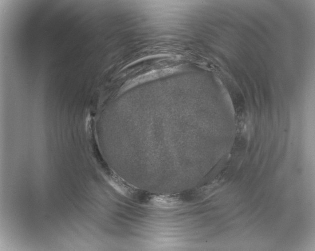 X0000068890568200606021922