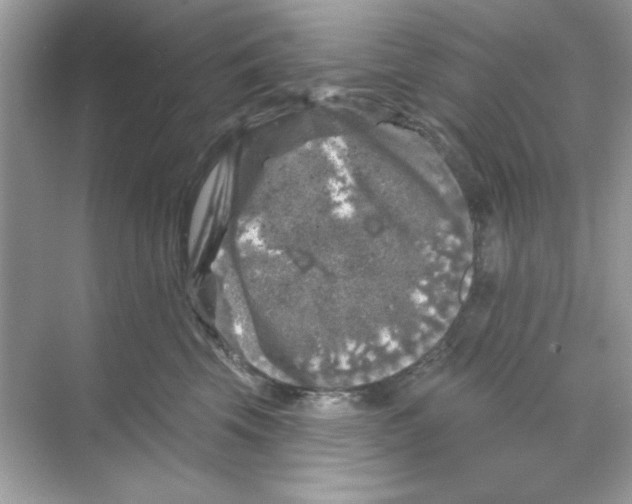 X0000068890569200606021922