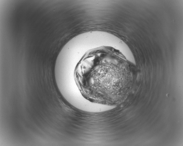 X0000068890570200606021922