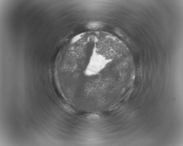 X0000068890572200606021922