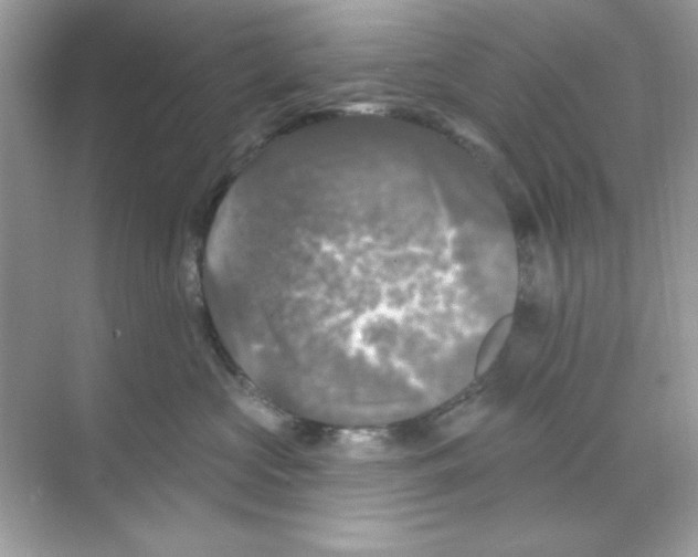 X0000068890573200606021922