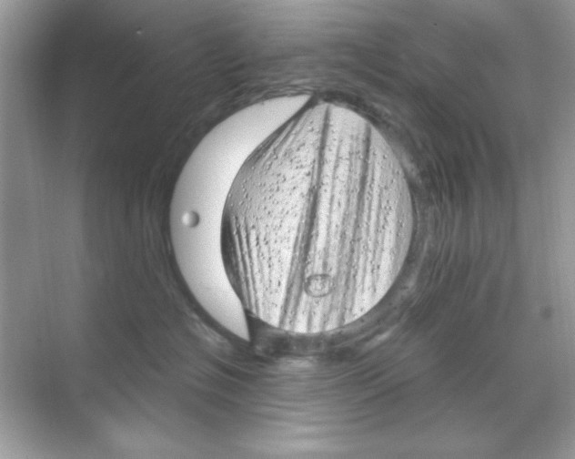 X0000068890574200606021922