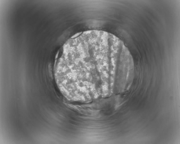 X0000068890575200606021922