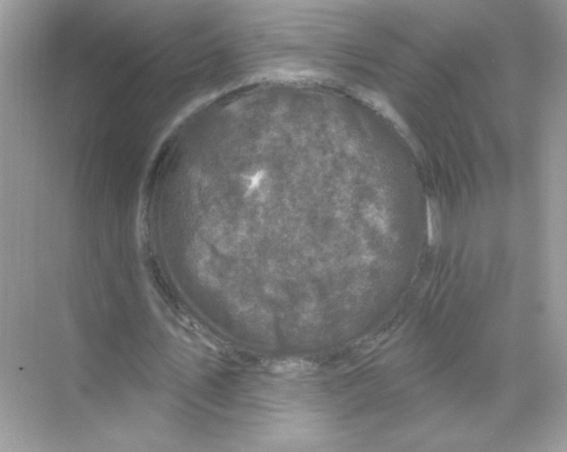 X0000068890579200606021922